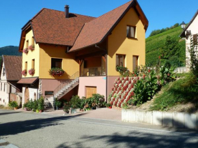 Appartement cosy à Bernardvillé 60 m² avec jardin vue montagne